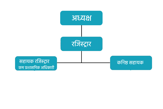 Organisation Structure IMG